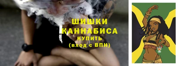 твердый Нягань