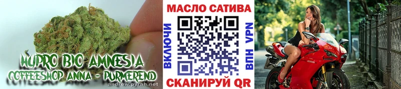 МЕГА ссылка  Иноземцево  ТГК концентрат 