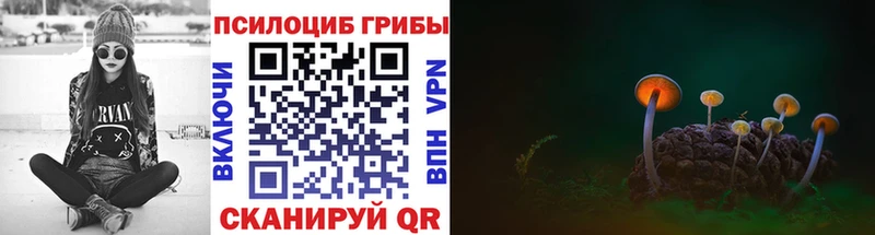 Галлюциногенные грибы прущие грибы  Иноземцево 