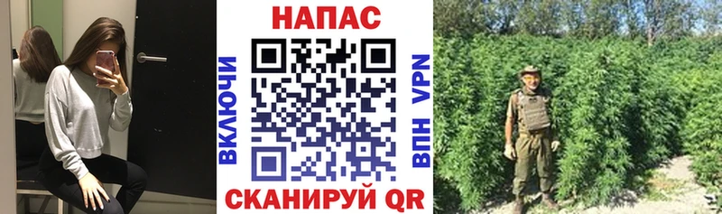 наркота  Иноземцево  мега рабочий сайт  МАРИХУАНА White Widow 
